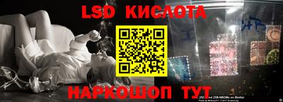 PSILOCYBIN Заводоуковск