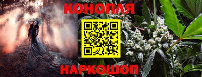 PSILOCYBIN Заводоуковск