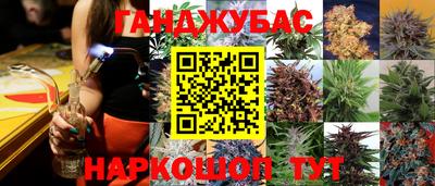PSILOCYBIN Заводоуковск