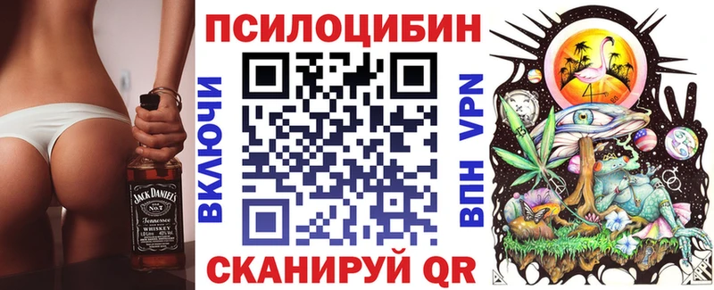 Псилоцибиновые грибы Psilocybe  хочу наркоту  Славянск-на-Кубани 