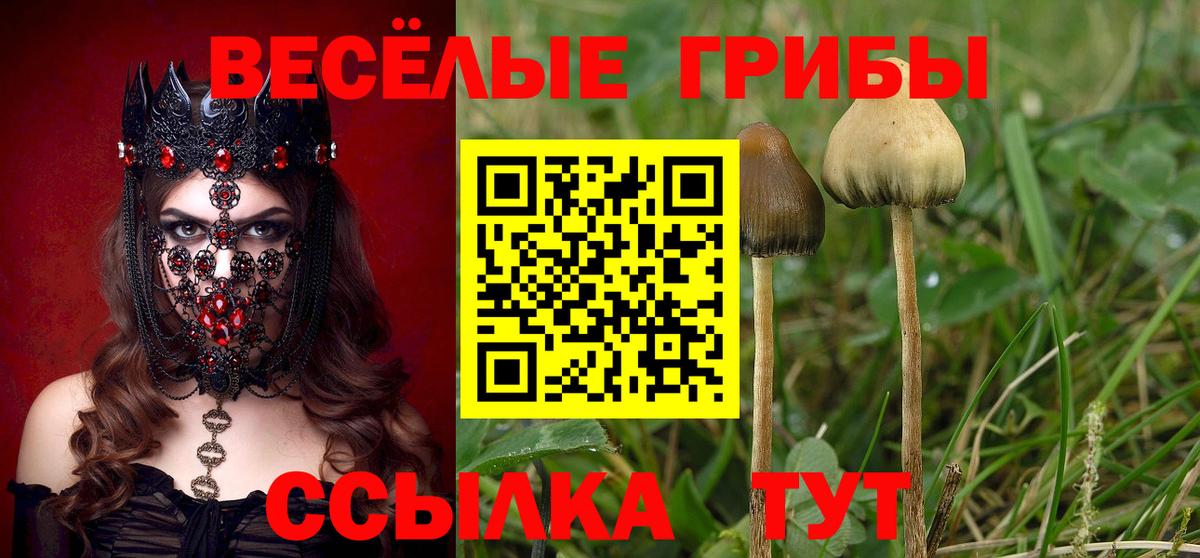 Псилоцибиновые грибы Psilocybe  Вход с VPN  Славянск-на-Кубани 